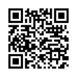 QR Code (код быстрого отклика)