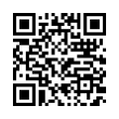 QR Code (код быстрого отклика)