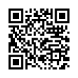 QR Code (код быстрого отклика)