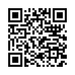 QR Code (код быстрого отклика)