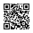 QR Code (код быстрого отклика)
