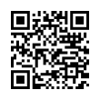QR Code (код быстрого отклика)