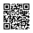 QR Code (код быстрого отклика)