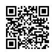 QR Code (код быстрого отклика)