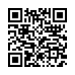 QR Code (код быстрого отклика)