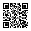 QR Code (код быстрого отклика)