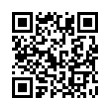 QR Code (код быстрого отклика)