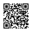 QR Code (код быстрого отклика)