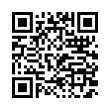 QR Code (код быстрого отклика)