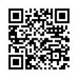 QR Code (код быстрого отклика)