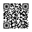 QR Code (код быстрого отклика)
