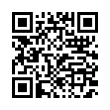 QR Code (код быстрого отклика)