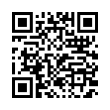 QR Code (код быстрого отклика)