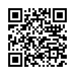 QR Kodea