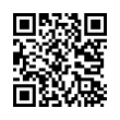 QR Code (код быстрого отклика)