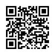 QR Code (код быстрого отклика)