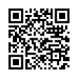 QR Code (код быстрого отклика)