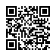 QR Code (код быстрого отклика)