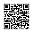 QR Code (код быстрого отклика)