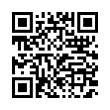 QR Code (код быстрого отклика)