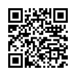 QR Code (код быстрого отклика)