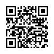 QR Code (код быстрого отклика)