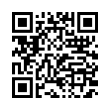 QR Code (код быстрого отклика)